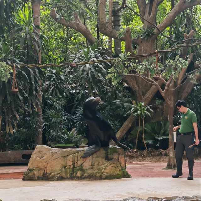 Singapore Zoo and River Wonders - Perfect plan for weekend Getaways