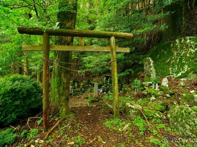 【徳島県】苔の名所でミニお遍路体験も！「山犬嶽」