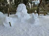 【関西観光】金剛山：関西の冬を彩る雪化粧の絶景スポット