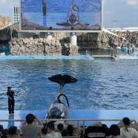 名古屋旅遊～名古屋水族館