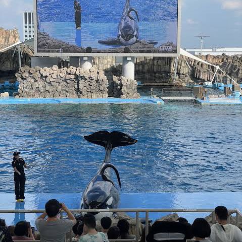 名古屋旅遊～名古屋水族館