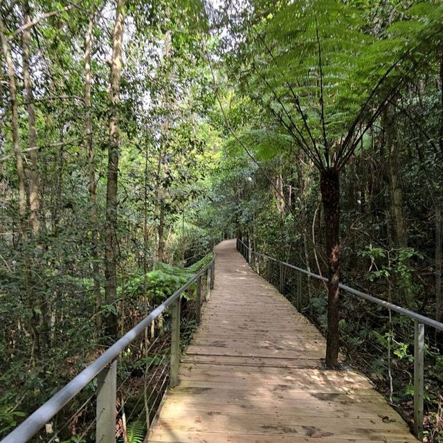 Blue Mountains National Park, New South Wales