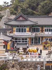 【韓国】釜山🇰🇷まるで竜宮城🏰🐉
