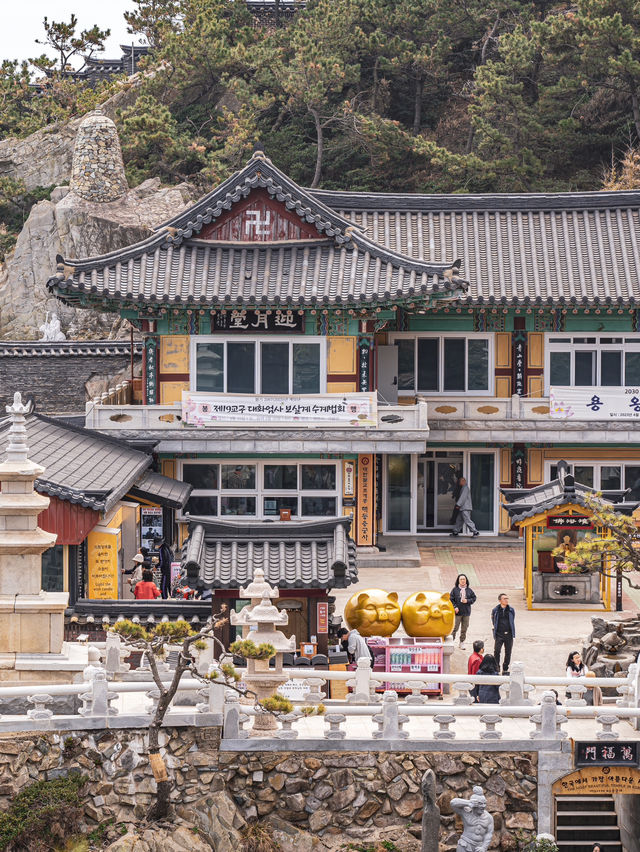 【韓国】釜山🇰🇷まるで竜宮城🏰🐉
