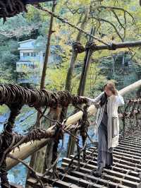 難得一見使用藤蔓搭建而成的這座橋