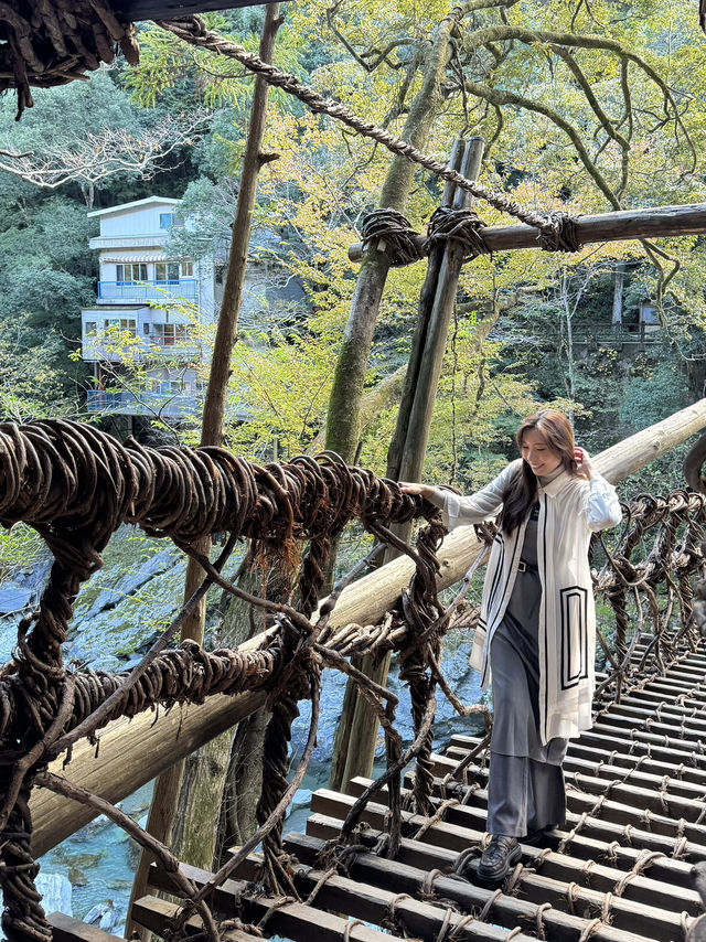 難得一見使用藤蔓搭建而成的這座橋