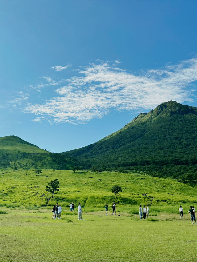 푸르른 녹음의 싱그런 유후다케(由布岳)! 😍🏔️