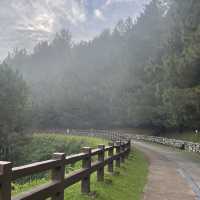 Breathe in the Beauty of Taman Saujana Hijau Putrajaya 