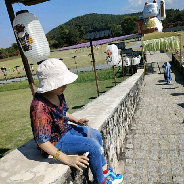 Hinoki Land