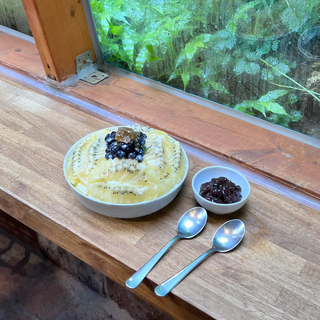 동남아 분위기 같던 까멜리아 인 구룡포 포항카페🌿
