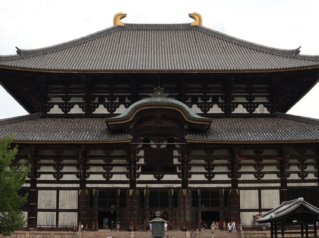  Discover Awe-Inspiring History at Todai-ji Temple