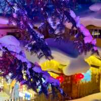 China Snow Town หมู่บ้านหิมะ 中国雪乡