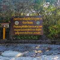 ที่เที่ยวภูหลวง