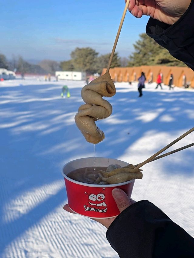 입장권 하나로 하루종일 즐기는 눈마을☃️