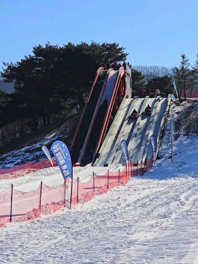 입장권 하나로 하루종일 즐기는 눈마을☃️