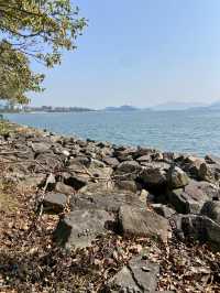🧘🏻🛀讓人有種說不出寫意「元洲仔公園」🏞️🌸