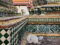 The world famous reclining Buddha at Wat Pho