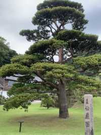 Sengan-en: A Scenic Garden in Kagoshima