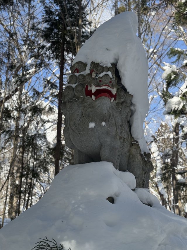 冬の戸隠神社奥社への参道❄️神秘の雪景色に包まれる旅