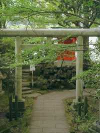 新緑の箱根九頭龍神社🌿自然とご利益に癒される旅