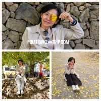 New destination for yellow leaves @ Tengchong, China