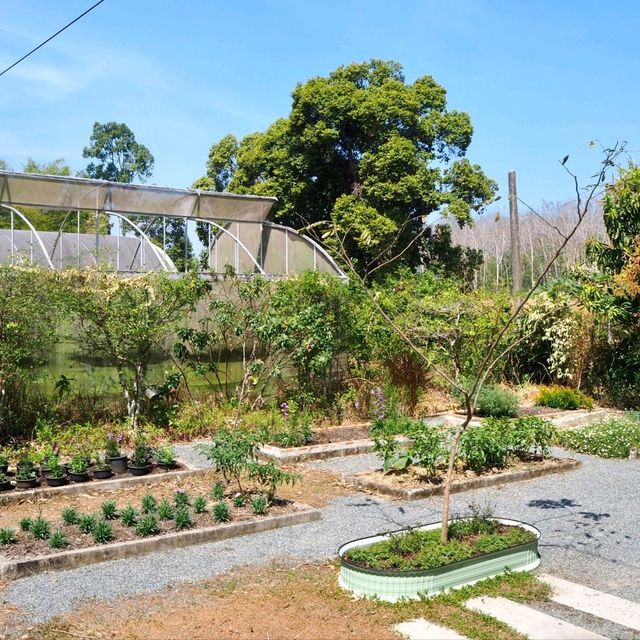 🏡BAAN RONG PHAK คาเฟ่จันทบุรี
