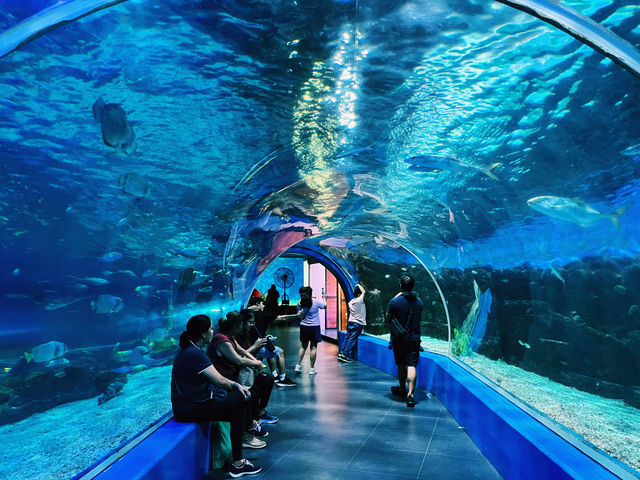 【週末弾丸】マニラで楽しむ1泊3日の絶景＆歴史旅