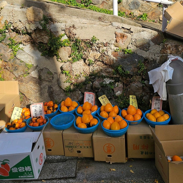 大阪周邊景點〔箕面公園〕