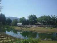 Bucolic Khao Yai คาเฟ่บรรยากาศดีที่เขาใหญ่