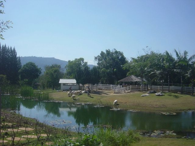 Bucolic Khao Yai คาเฟ่บรรยากาศดีที่เขาใหญ่