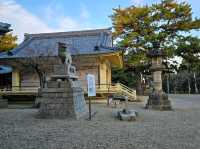 Oyama Ryokuchi Park大山緑地 ไหว้ศาลเจ้าขอพร
