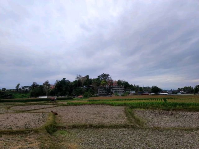 พามาวัดดัง ชื่อภูเก็ต แต่อยู่ที่น่าน