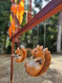 【リスがたくさん？！癒しとかわいいが詰まった神社】