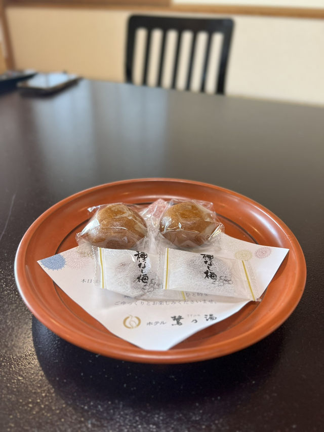 【長野】源泉掛け流しの湯と足湯に癒される