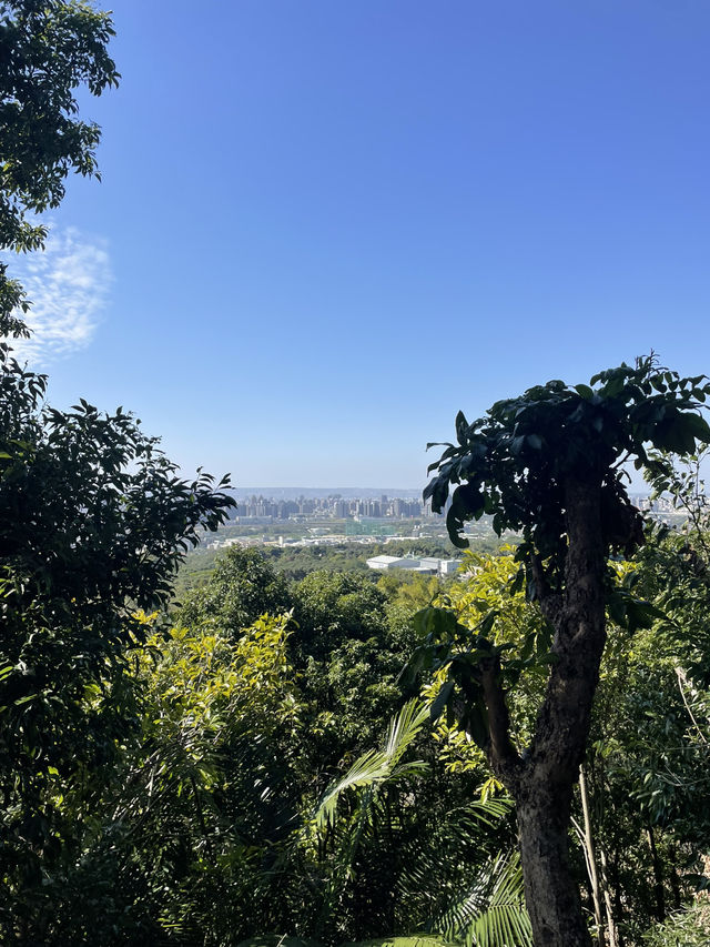 Hiking at Dakeng Trail No.9 (大坑九-1號步道): A Nature Lover’s Paradise