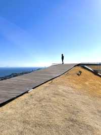 【伊豆×初春の旅】海、空を360°楽しめるビュースポット！富士山も見えます！