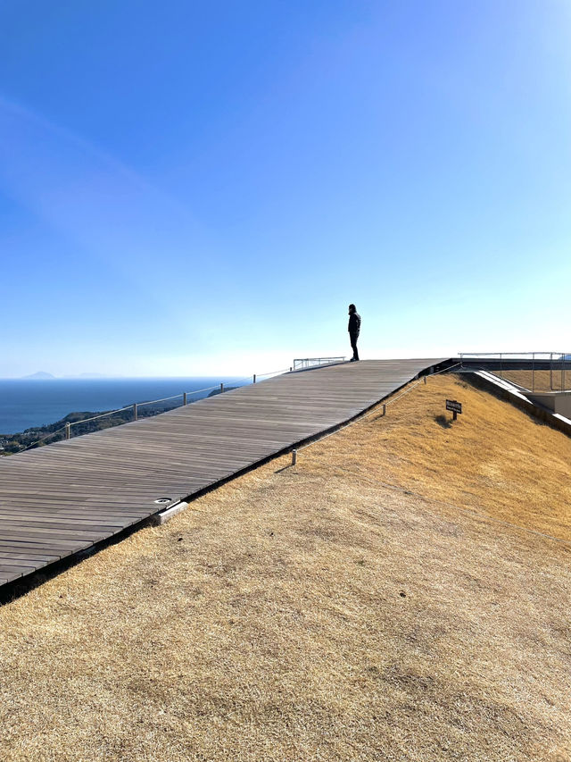 【伊豆×初春の旅】海、空を360°楽しめるビュースポット！富士山も見えます！
