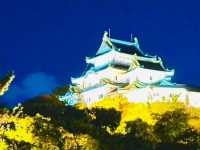 ปราสาทวากายามะ (Wakayama Castle)