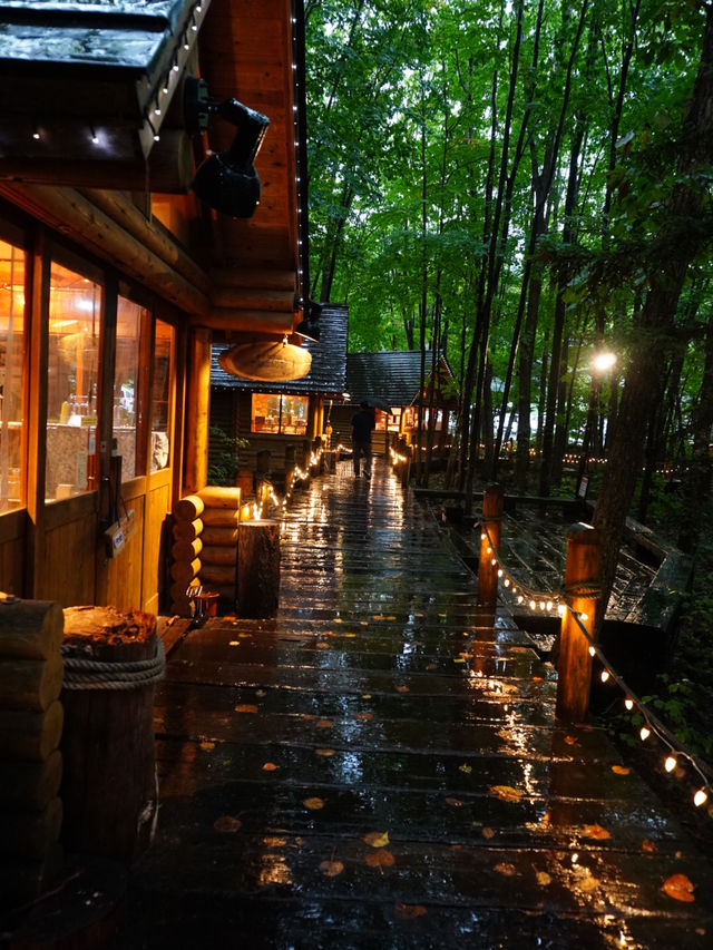 【北海道×3泊4日の旅】森の中のログハウス ライトアップは幻想的