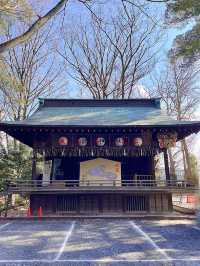 【埼玉浦和】ウサギがお出迎えしてくれる調神社✨