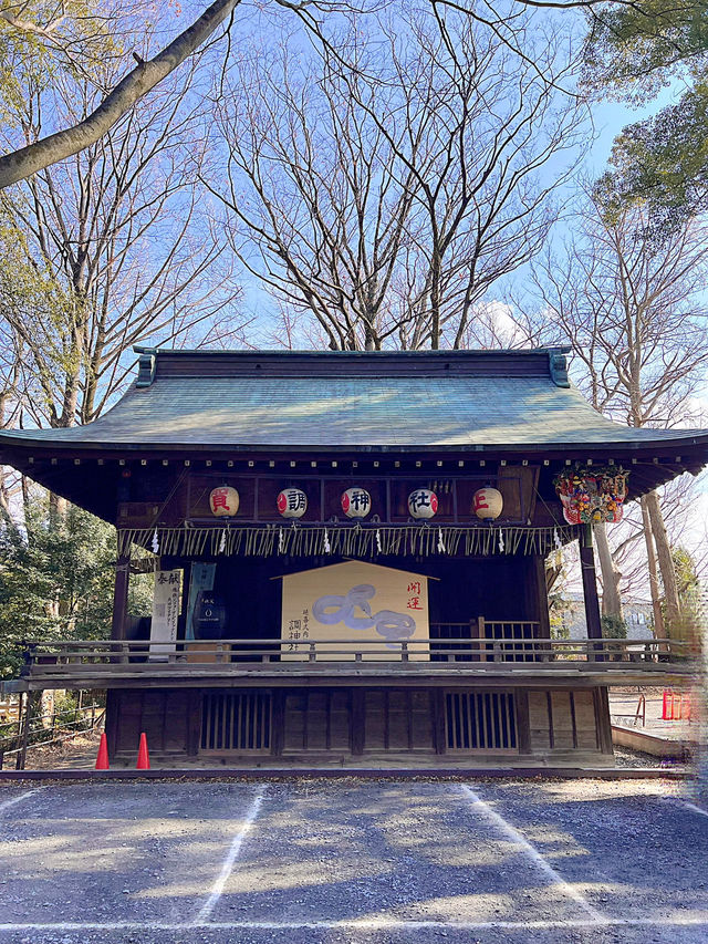 【埼玉浦和】ウサギがお出迎えしてくれる調神社✨