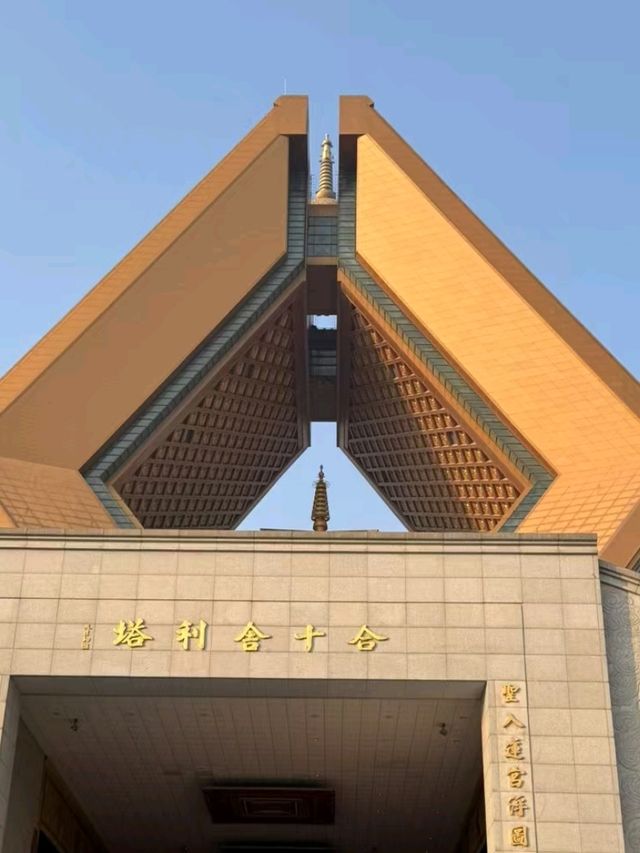 📍Discover luoyang 