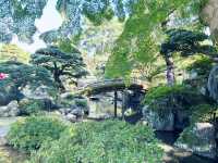 A Royal Escape: Discovering the Tranquil Kyoto Imperial Palace