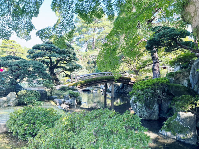 A Royal Escape: Discovering the Tranquil Kyoto Imperial Palace