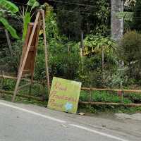คาเฟ่แม่กำปอง เชียงใหม่