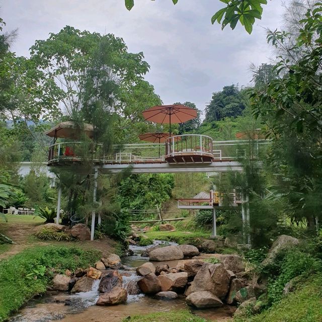 คาเฟ่กลางหุบเขา SILA CAFE ☕️🥤🥐
