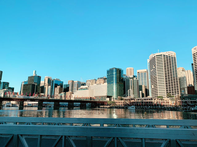 Sydney Darling Harbour: Where the City Comes Alive