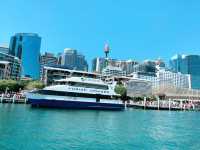 Sydney Darling Harbour: Where the City Comes Alive