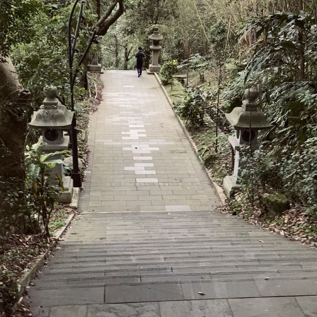 幽靜古樸的指南宮竹柏參道—彷彿走進日式秘境