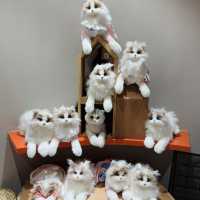 Collectibles, Plushies & Unexpected Delights at Q Pocket